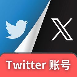 【Twitter账号X】2FA双重验证 | 2023年 邮箱验证 资料随机 带token【质保24小时】
